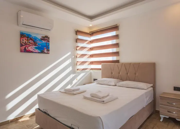 Villa Hisar Prestige A *